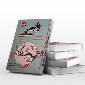 وابی سابی
